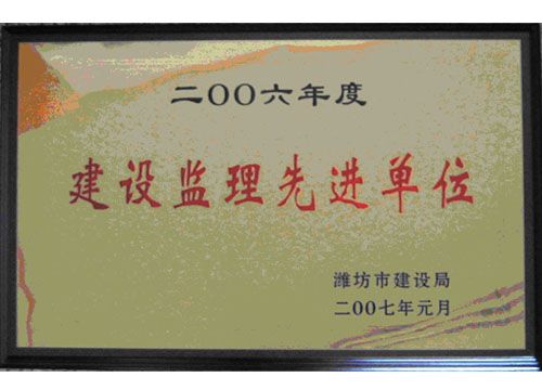 点击查看详细信息<br>标题：2006年度建设监理先进单位 阅读次数：4555