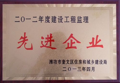 点击查看详细信息<br>标题：2012年度建设工程监理先进企业 阅读次数：3817