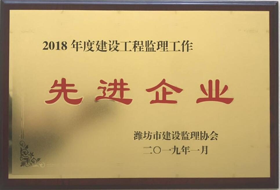 点击查看详细信息<br>标题：2018年度先进监理企业 阅读次数：2436